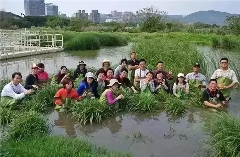 旅游规划 旅游规划
