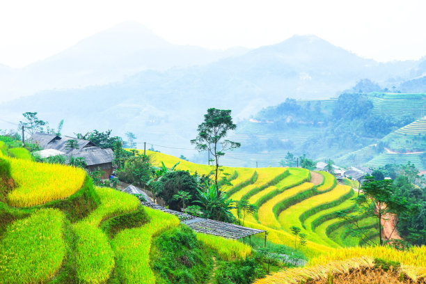乡村旅游规划