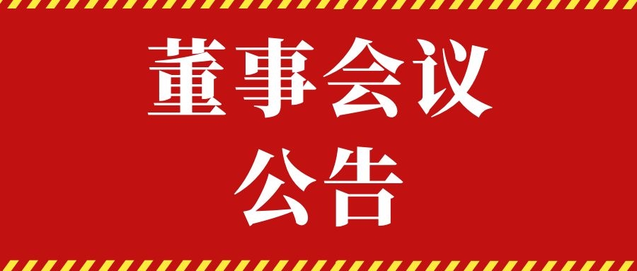 摩登6.第一届董事会第八次会议决议公告