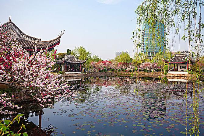 景区生存之道